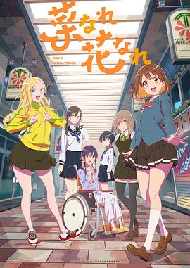 本溪本地网站优化报价